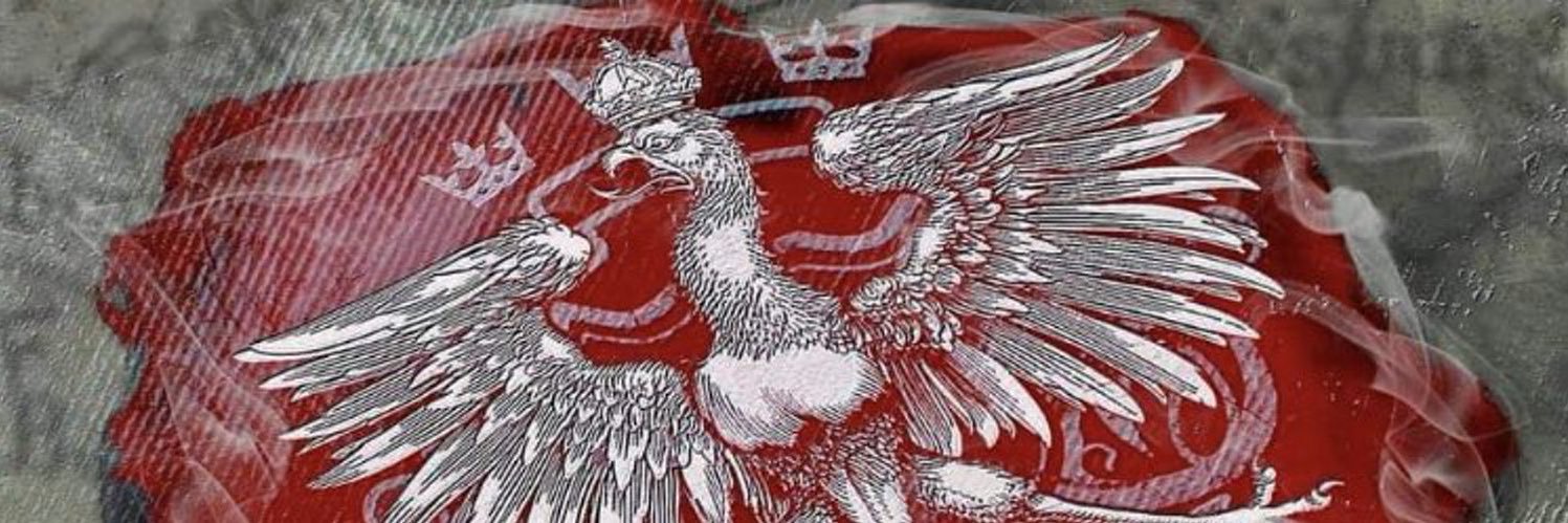 dzojlanda's profile banner image