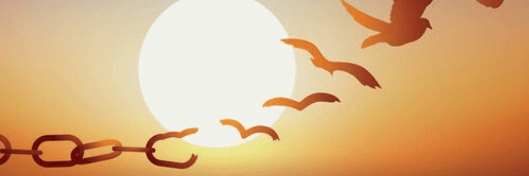 vvrlibre's profile banner image