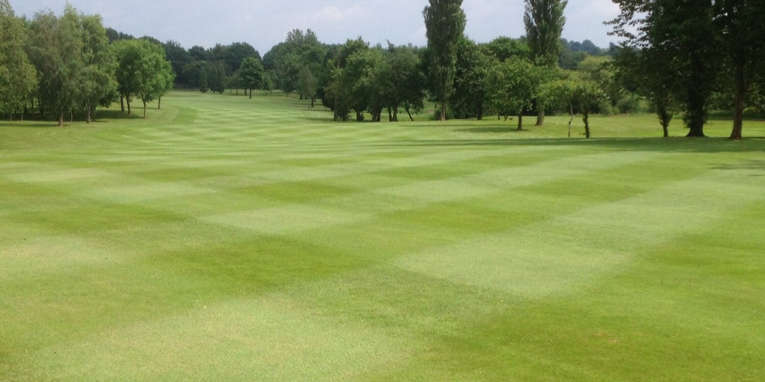 AlsagerGreens's profile banner image