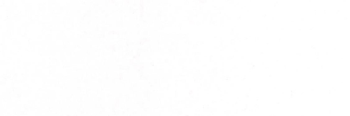antonellazur's profile banner image