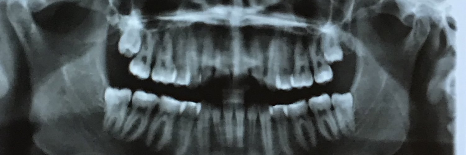 sarahnavratil's profile banner image