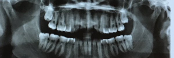 sarahnavratil Profile Banner