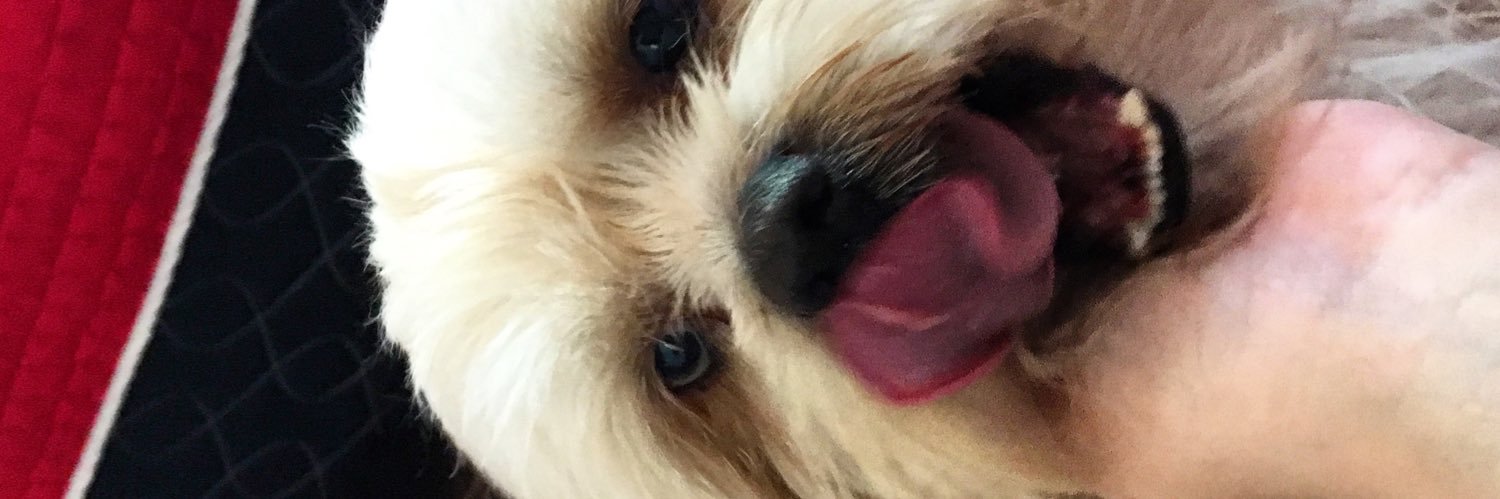 borgeselooisa's profile banner image