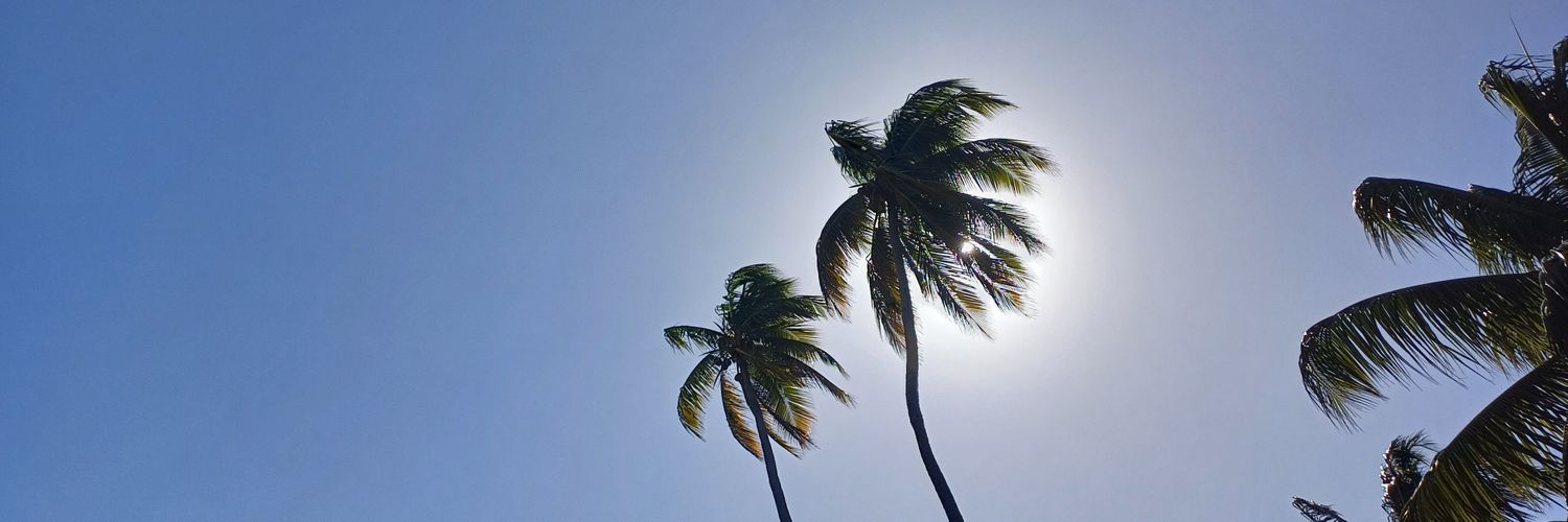 eseperalta's profile banner image