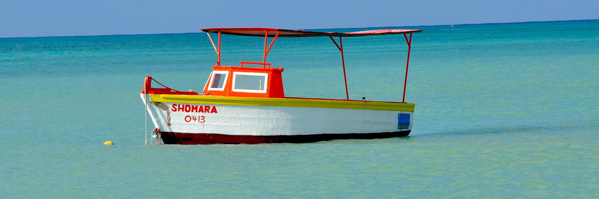 Kevin von Keyserling banner