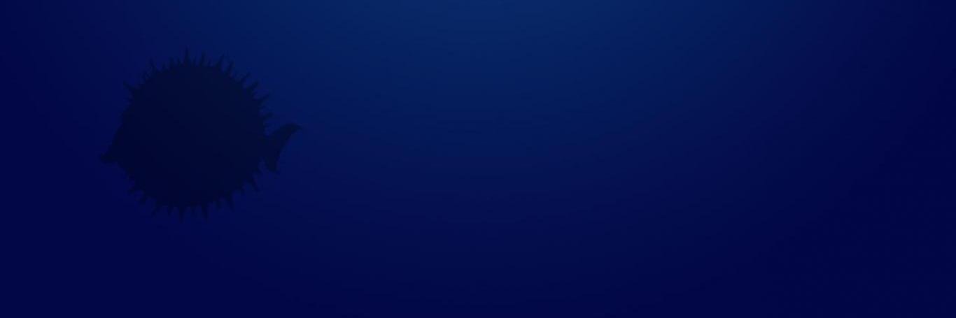 puffysecurity's profile banner image