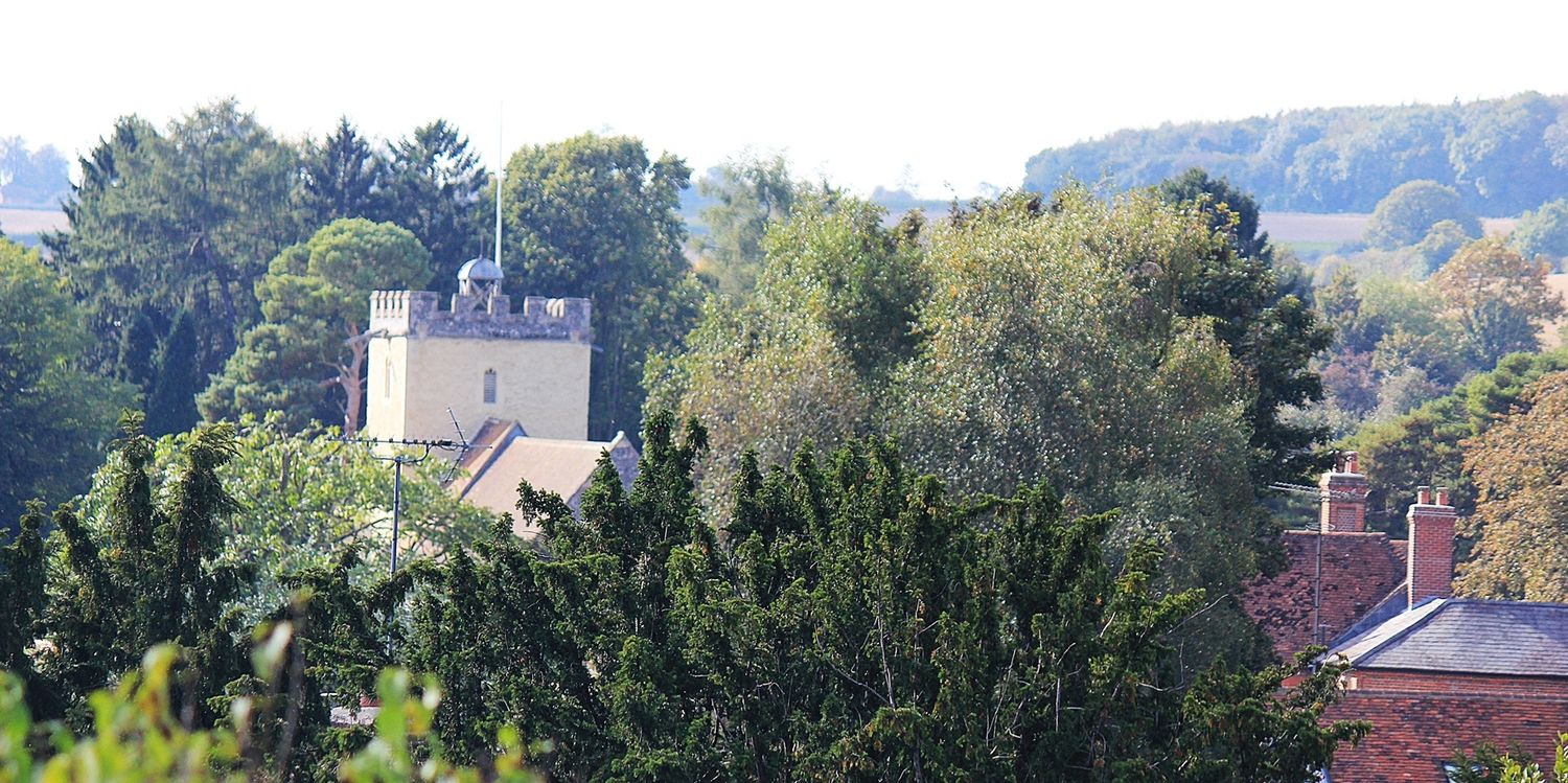 A n d y T o w banner