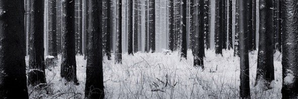 powerlustful's profile banner image