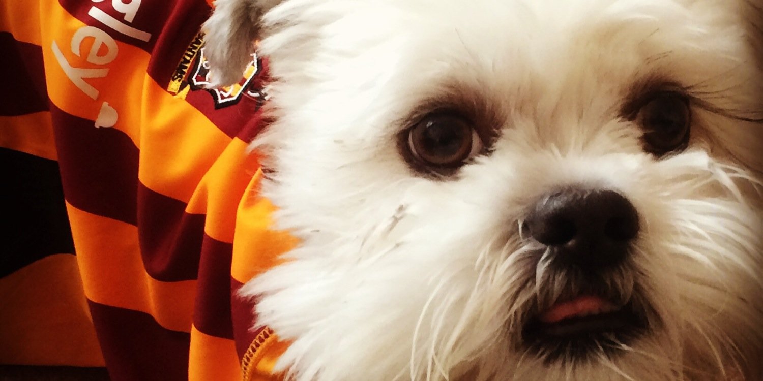 fiona160887's profile banner image