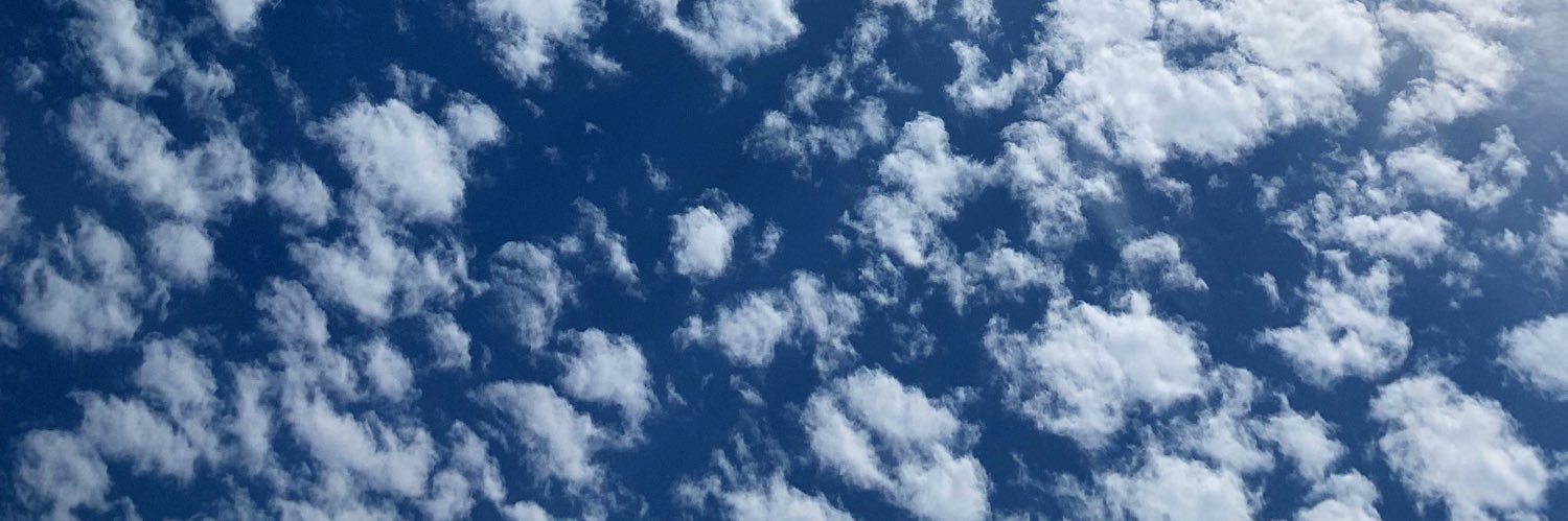 Charlotte_Meil's profile banner image
