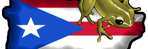 CrashBoatBeach's profile banner image
