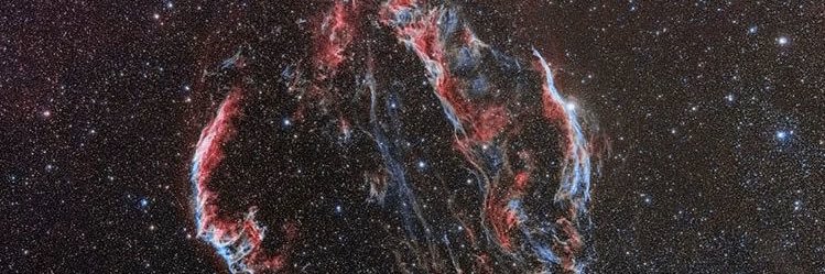 rdbs🐢 banner