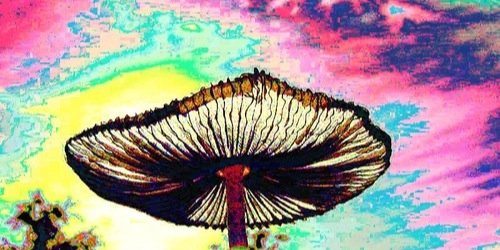 vibinthoughts's profile banner image