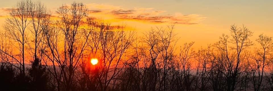 Francart_G's profile banner image