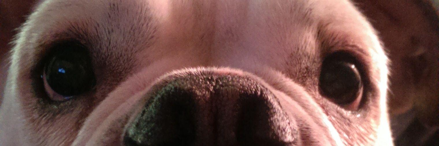 macmilln's profile banner image