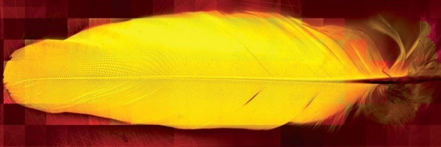 VurtTrader's profile banner image