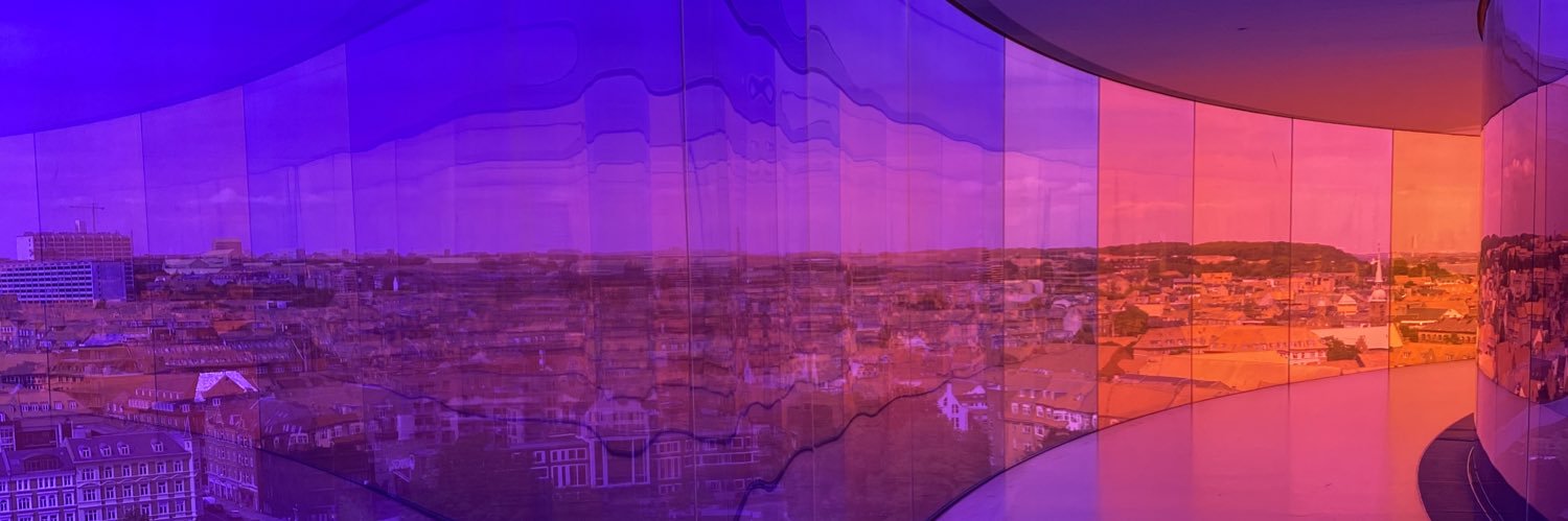 Cristina Reig banner