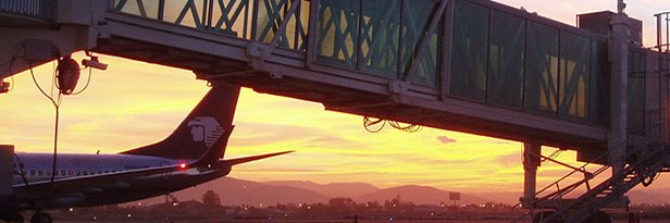 mikkoconut's profile banner image