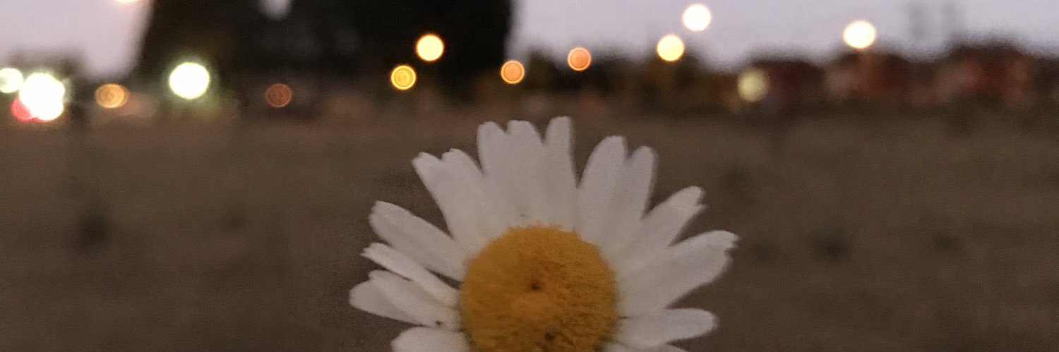 ℓσɾє banner