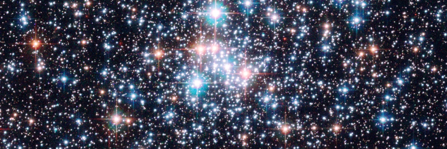 Michael Chung banner