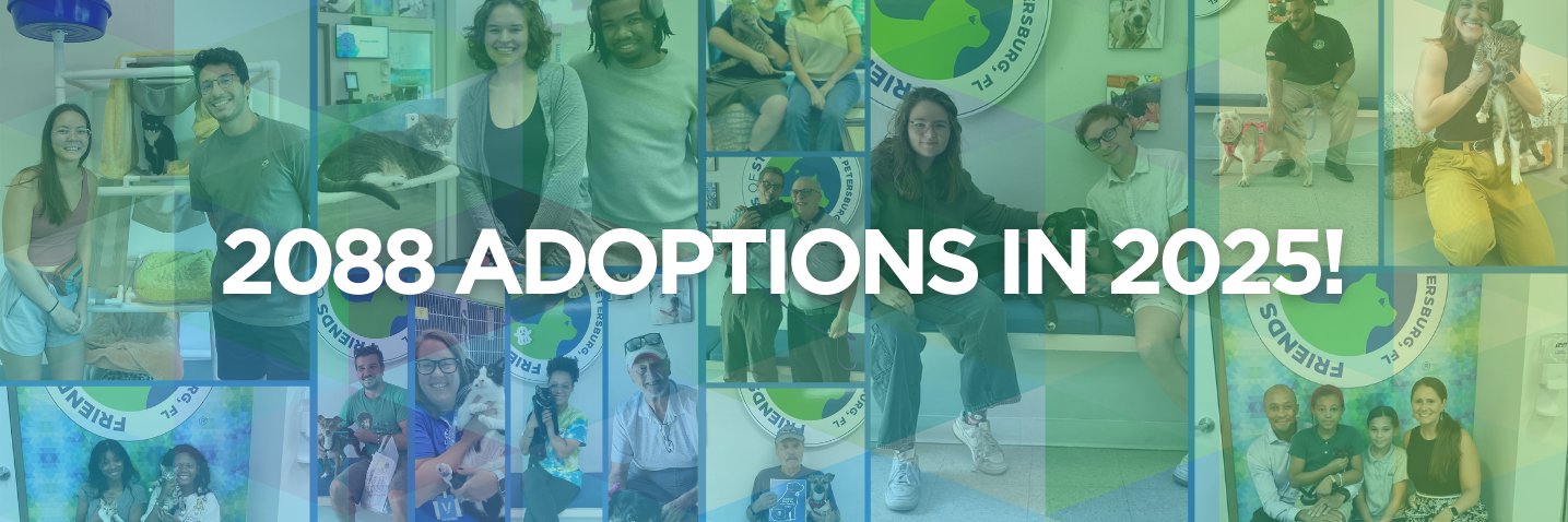 Friends of Strays banner