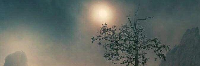shere_s_h's profile banner image