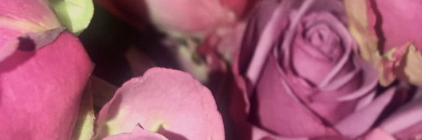 dutton_alexis's profile banner image