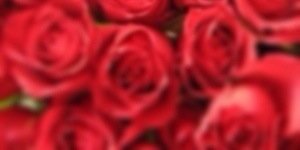 RRyhoney's profile banner image