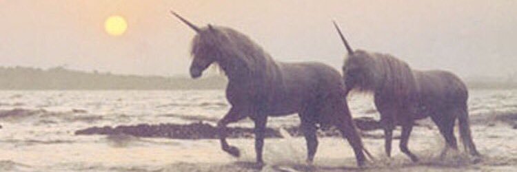 chella021's profile banner image