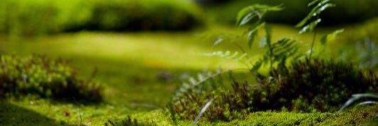 itismiao's profile banner image