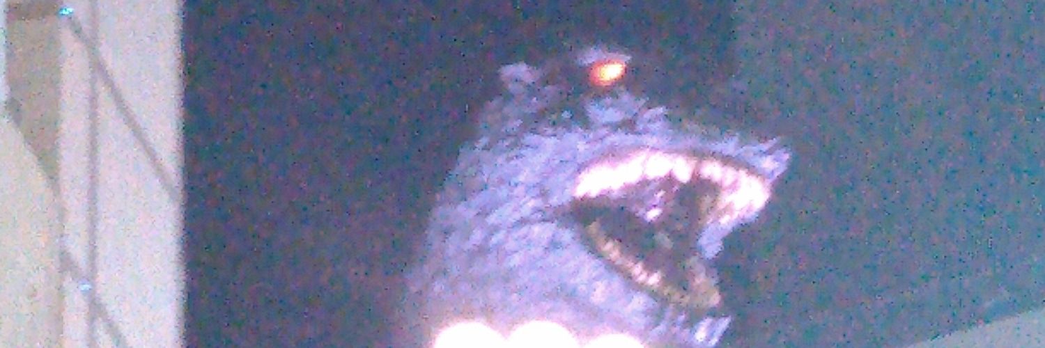 sentyo6's profile banner image