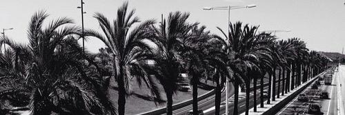 _cvmille__'s profile banner image