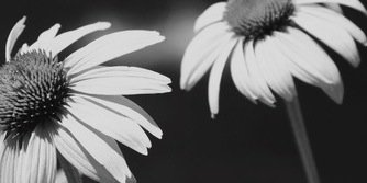 maximiliangdr's profile banner image