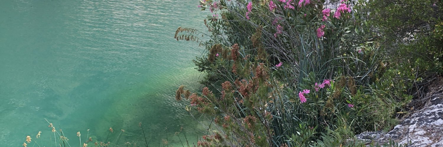 AnthoDeer's profile banner image