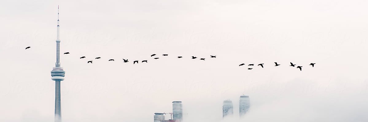 iamkingmellow's profile banner image