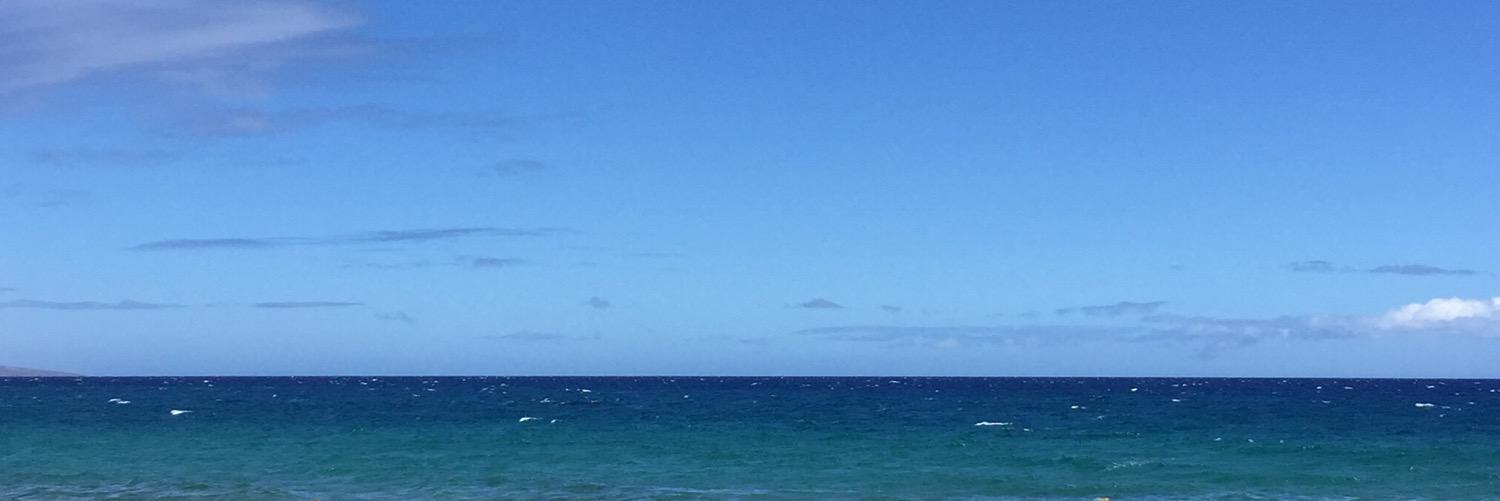 MegCacace's profile banner image