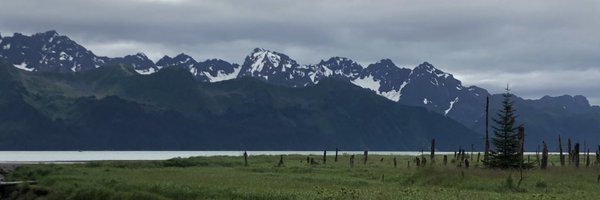 dba_shri Profile Banner