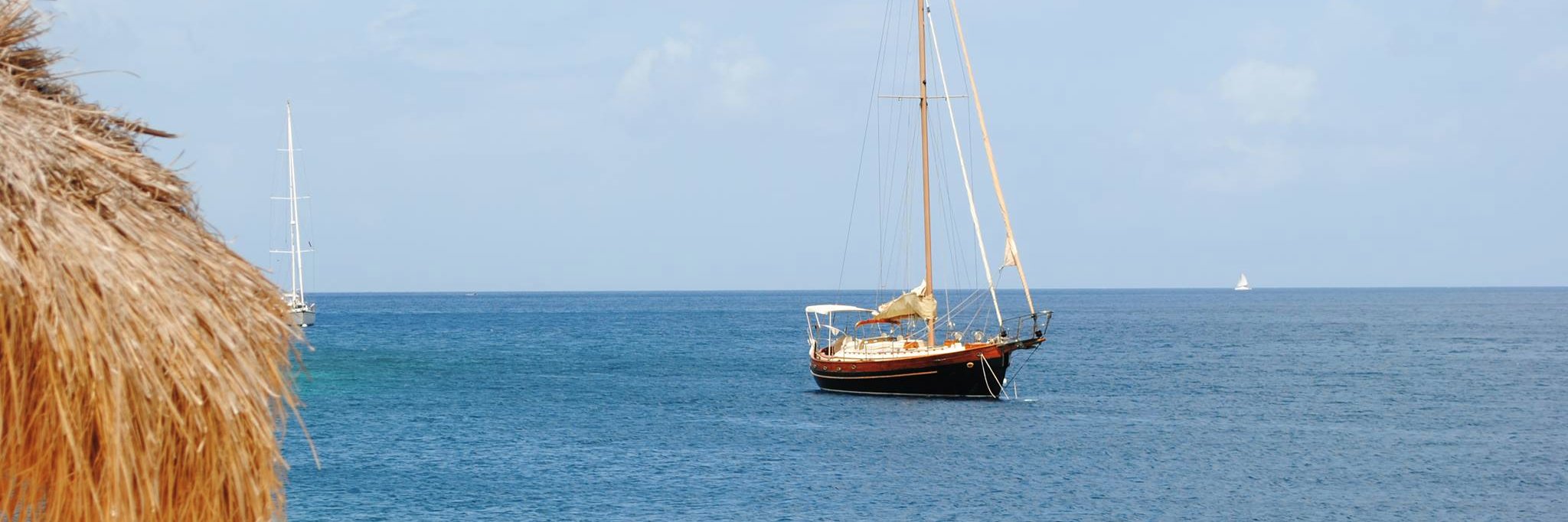 Alex Realmuto banner