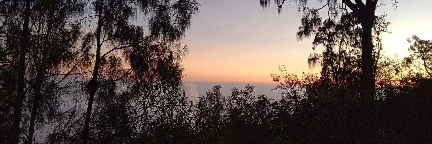 niip_74's profile banner image