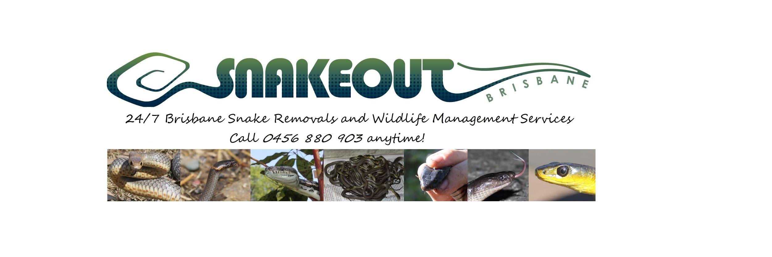 SnakeOutBrisbane banner