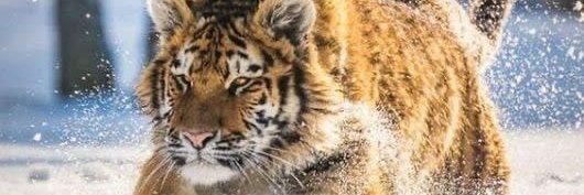 FaahadHussain's profile banner image