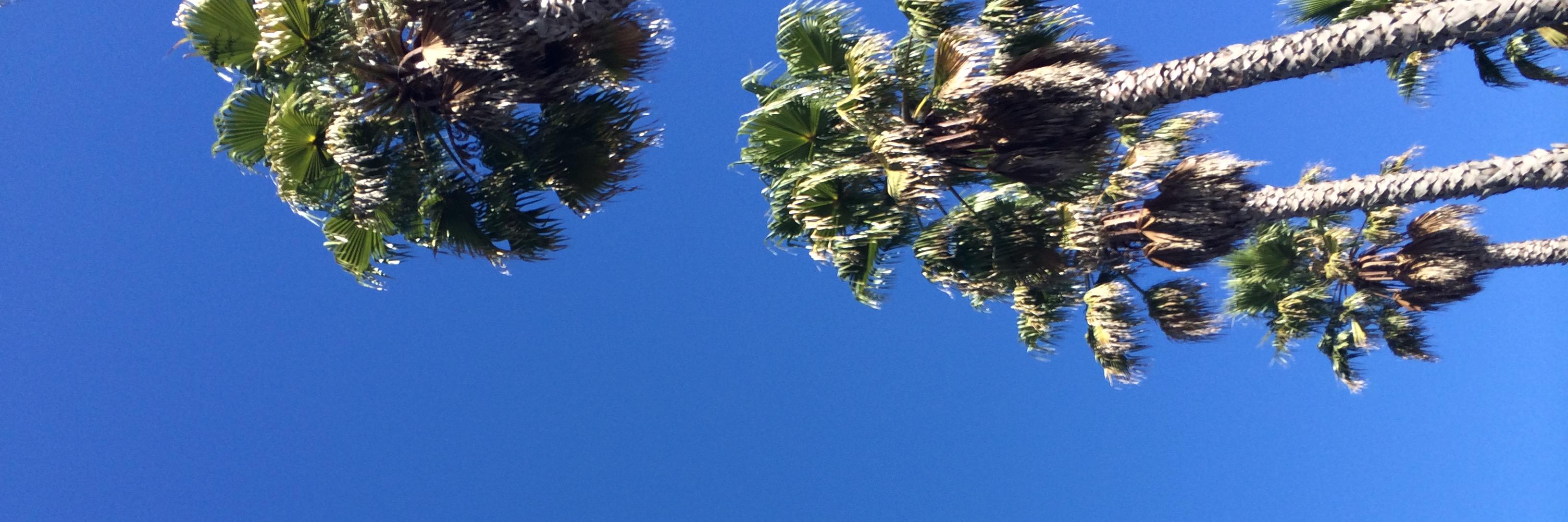 marissalexa's profile banner image