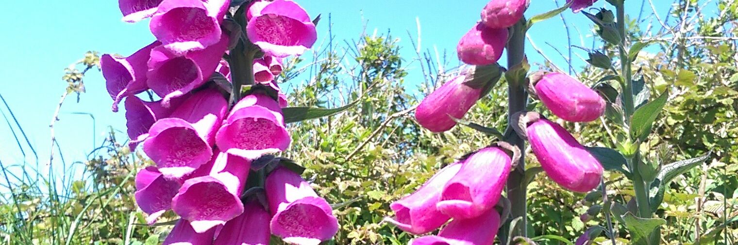 rosietee69's profile banner image
