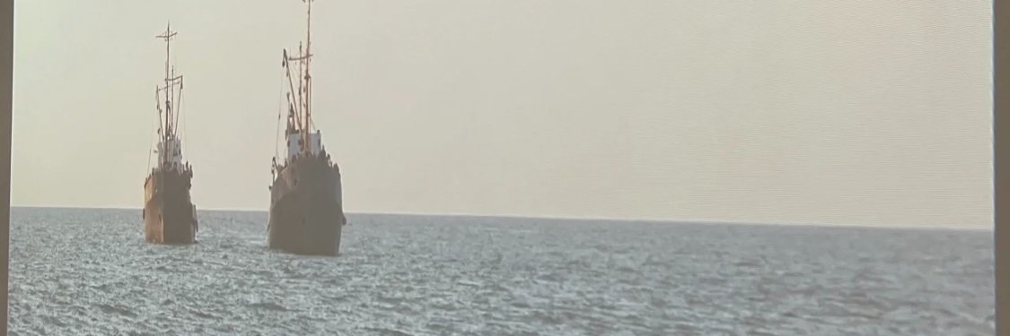 PPLMOVEMENT's profile banner image