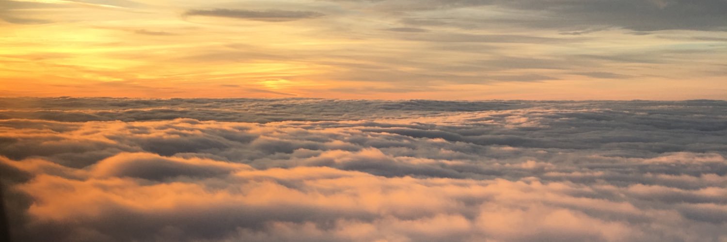 Alexbeerio's profile banner image