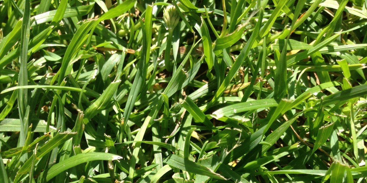 FSala23's profile banner image