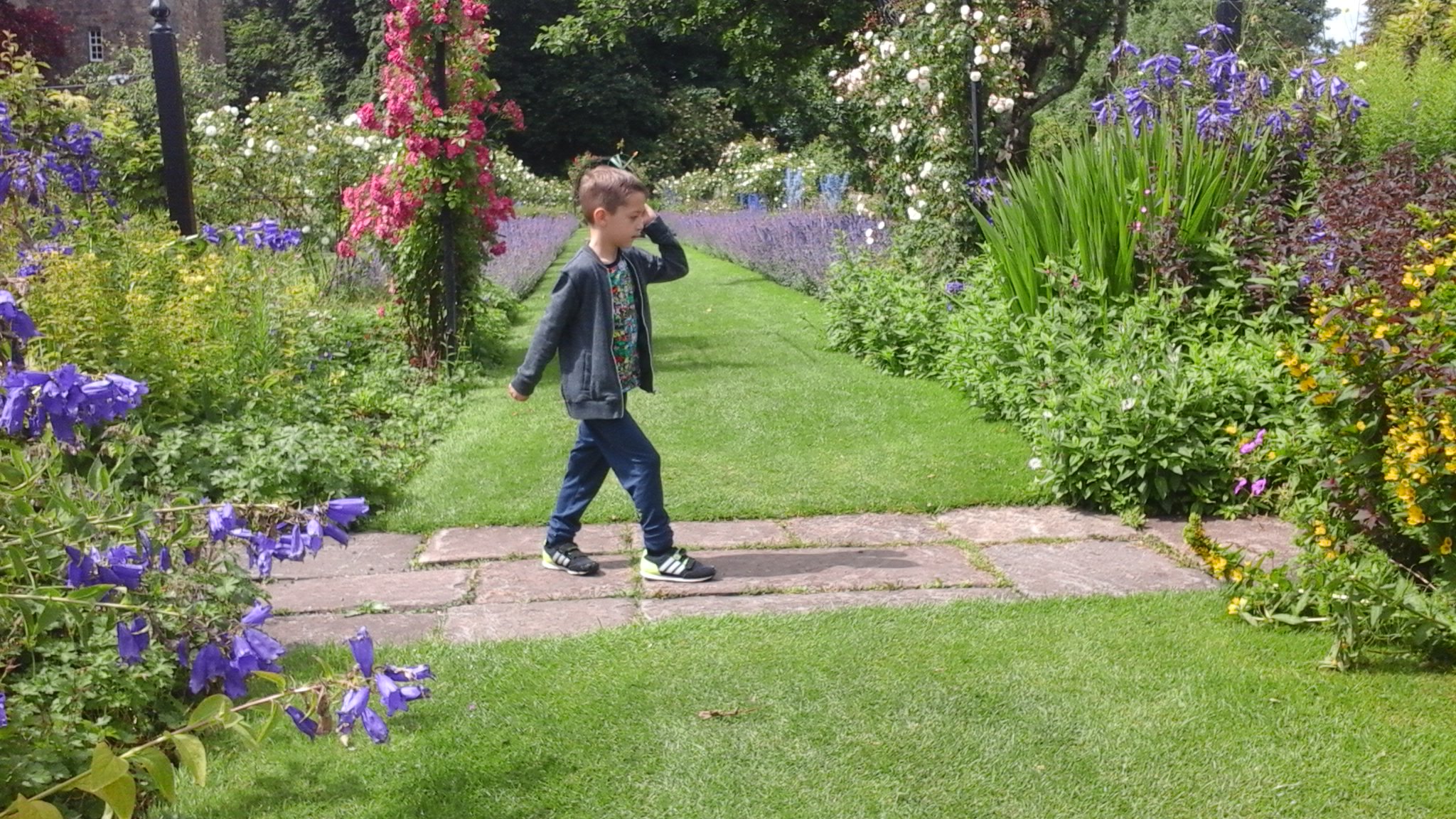 Varrie Murray banner