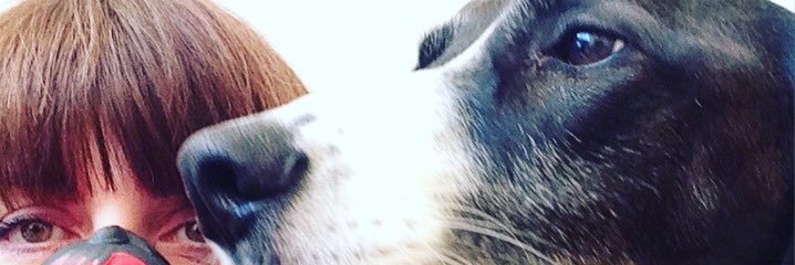 MrsJaneMiles's profile banner image