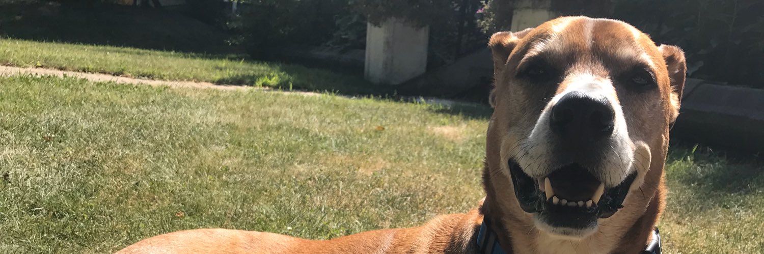 MBellemare911's profile banner image