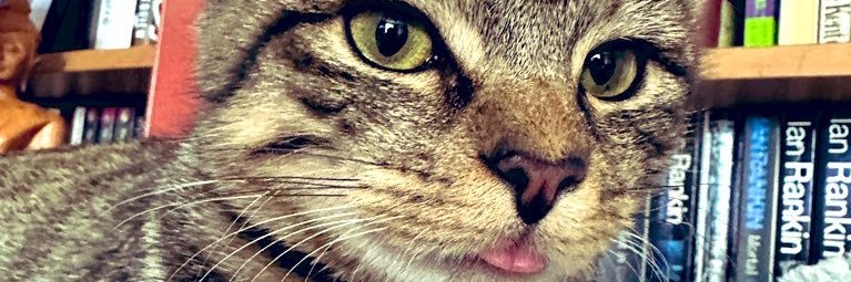 Ms Poppy Puffy Cheeks banner